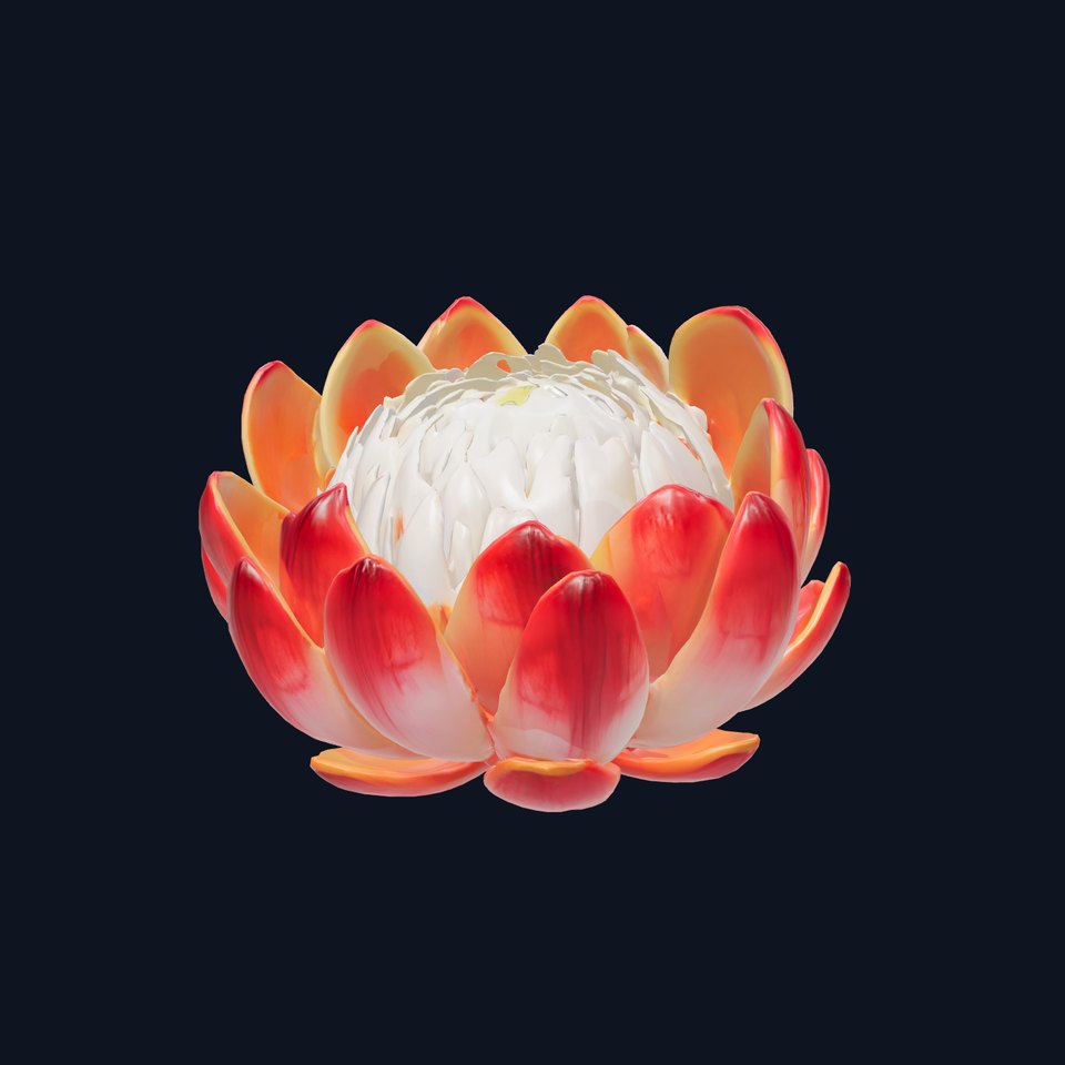 Bicolor Protea Flower Realistic Model Pack